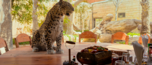 Have Breakfast At The Zoo & Feed Elephants For Less Than AED 100