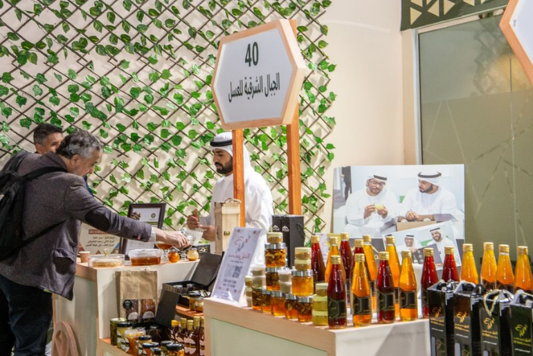 hatta festival