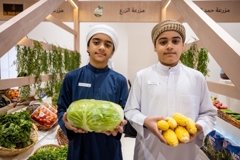 hatta festival