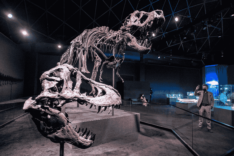 Natural History Museum