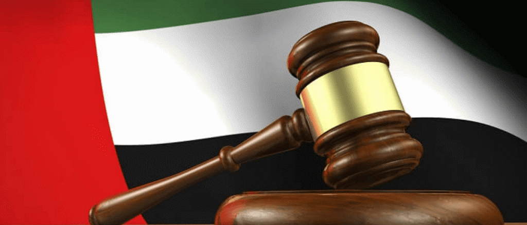 7 UAE Government Law Updates For 2025 - Strict Traffic Fines, Emiratisation & More