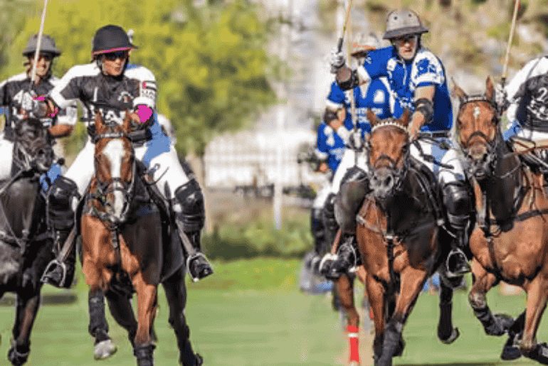 X Fun Things To Do This February In - Concerts, Art Festivals, Sports Events & More