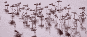 10 Offbeat Things To Do In Abu Dhabi That Will Let You Escape the Lines & Crowds