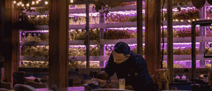 Arcadia By Amala: Dubai’s New Must-Try Culinary Adventure At Jumeirah Zabeel Saray