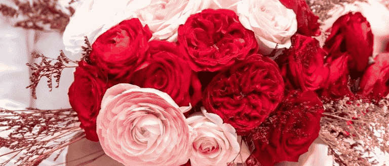 flowers (1050450mj)
