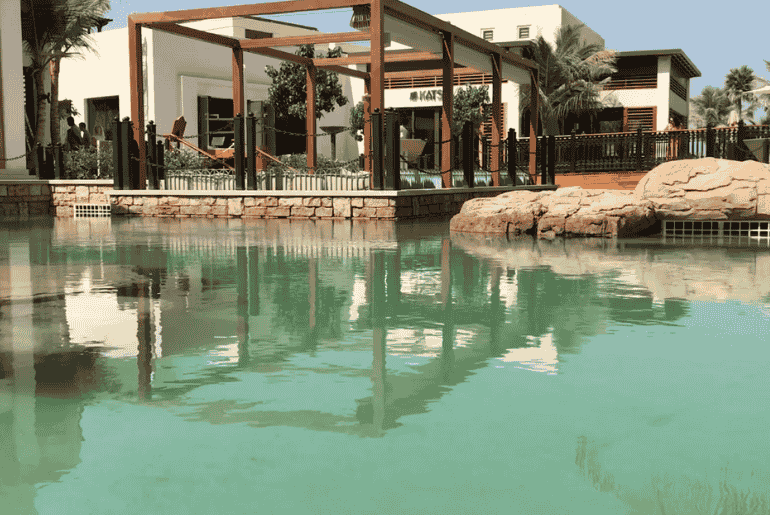 Forget Brunch - This Free Turtle Lagoon in Dubai Is the Real Weekend Plan!