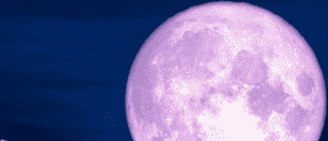 A ‘Pink Moon’ To Dazzle Dubai Skies Next Weekend – The Ultimate Guide To Watching & Capturing It