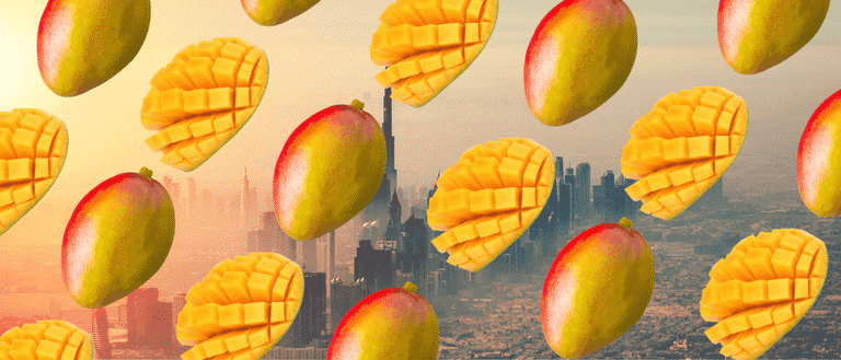 4 Must-Try Mango Menus You Cannot Miss This Mango Season In Dubai!