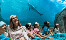 Join SeaWorld Abu Dhabi's Biggest SLEEPOVER! Sleep Next Sharks, Sting Rays & More