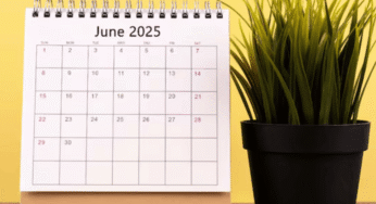 What’s New This June In UAE? From Finfluencer Rules To Free Ice Cream!