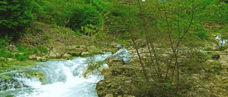 salalah, oman in june - khareef season