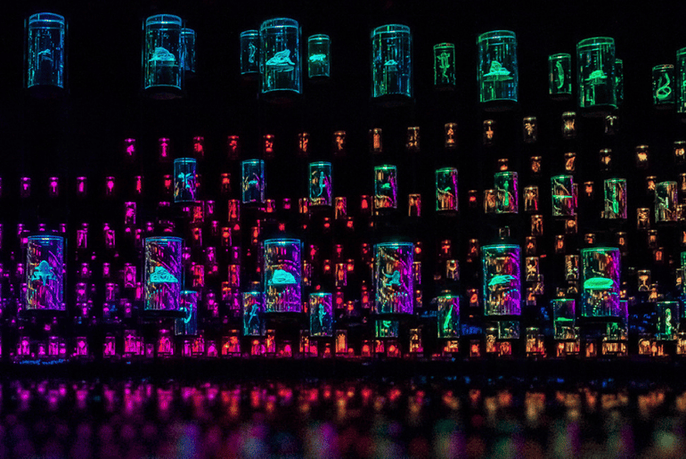 Heal Institute, Museum of the Future