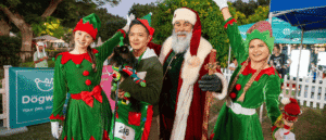 Dubai’s First-Ever Dog Festival On Sand & Sea Lands At Barasti This December