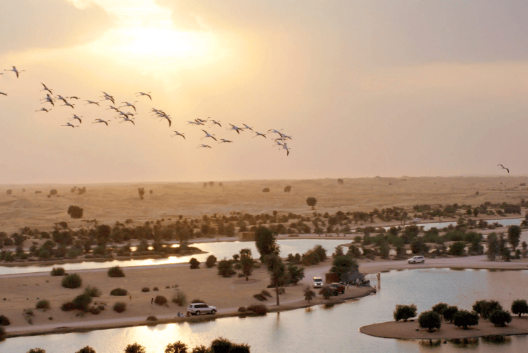 Al Qudra Lakes 
