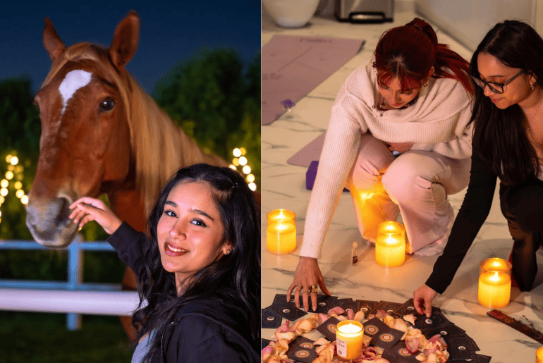 Crystalline Equine Dubai