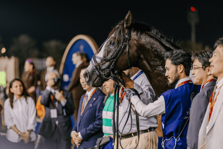 Abu Dhabi Gold Cup 