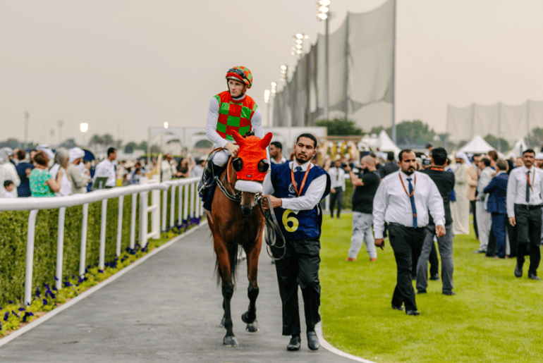 Abu Dhabi Gold Cup