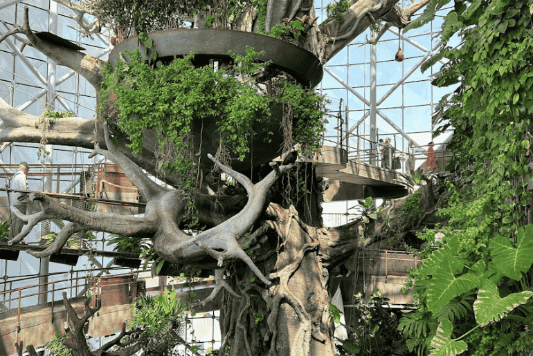 The Green Planet Dubai