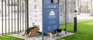 Dubai Municipality Debuts Smart ‘Ehsan Stations’ To Feed Stray Animals.