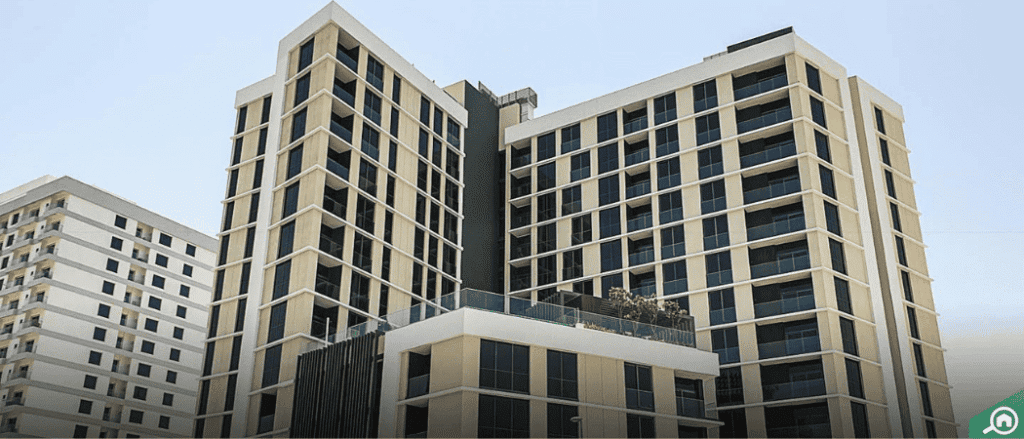 Shared Housing Rules