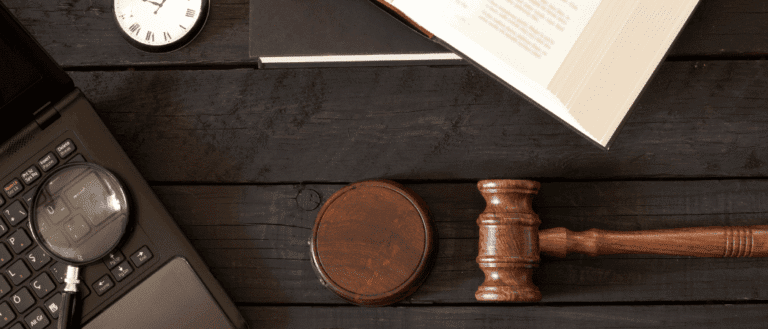 UAE Public Safety Law