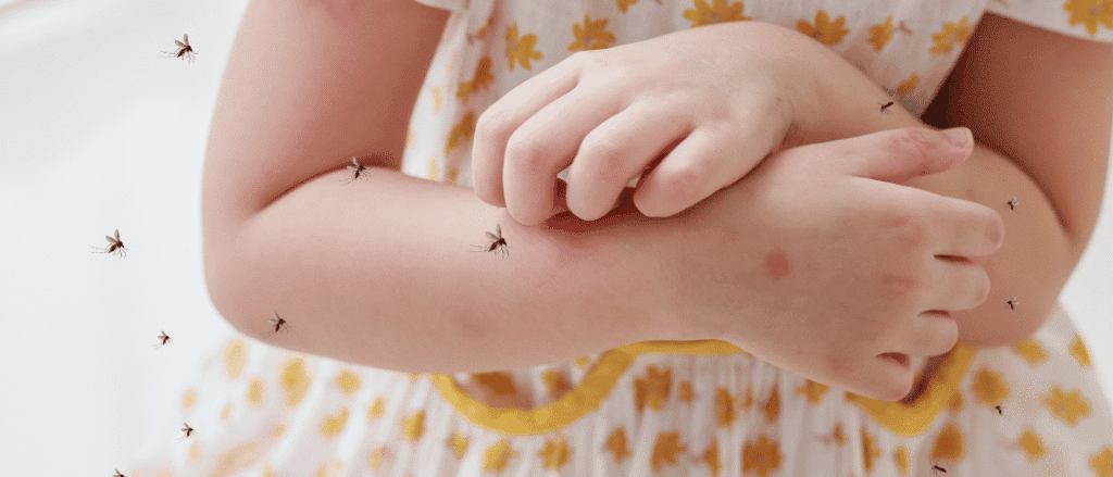 Dubai Warns Travellers Of Malaria Risk