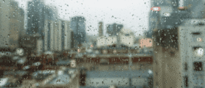 Rain Damage In Your Home? Here’s Who Covers Repair Costs