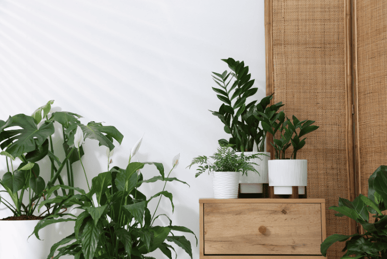 Summer Proof HomesGreenery