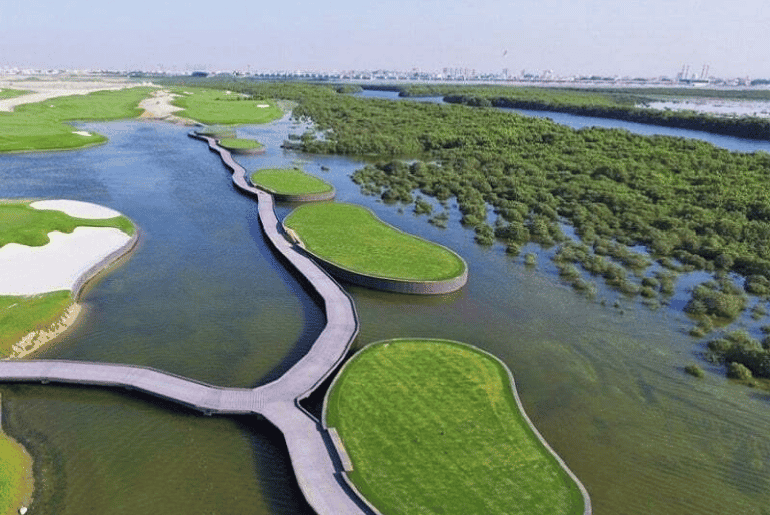 Ajman Mangroves
