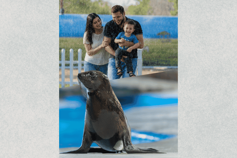 Emirates Park Zoo & Resort