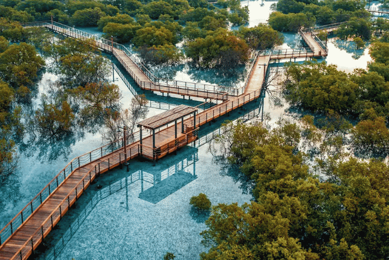 Jubail Mangrove Park