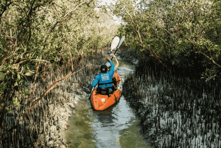 Mangrove Marine National Park