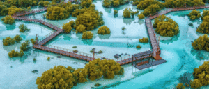 5 Scenic Mangrove Trips To Experience In The UAE