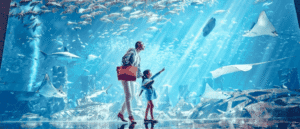 Beat The Heat In Dubai With These 12 Indoor Activities Under AED 150