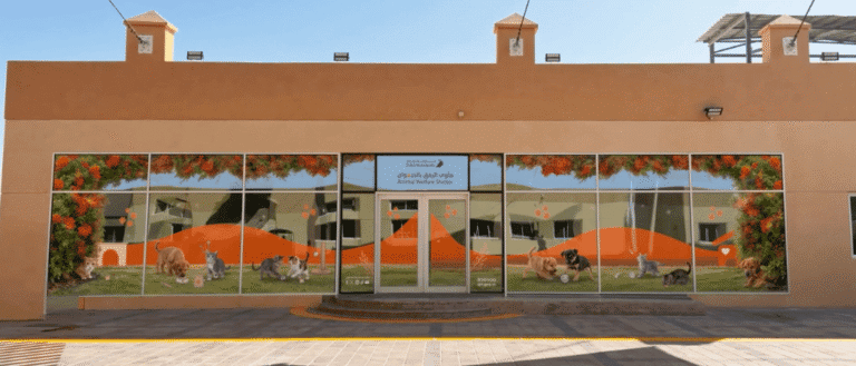 Animal Welfare Shelter