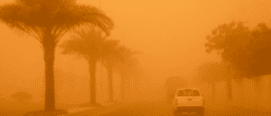Driving During A Sandstorm? 5 Safety Rules UAE Motorists Should Know
