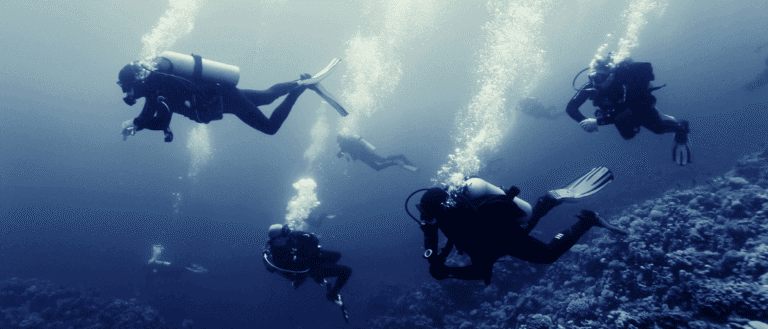 Underwater Experiences In Dubai